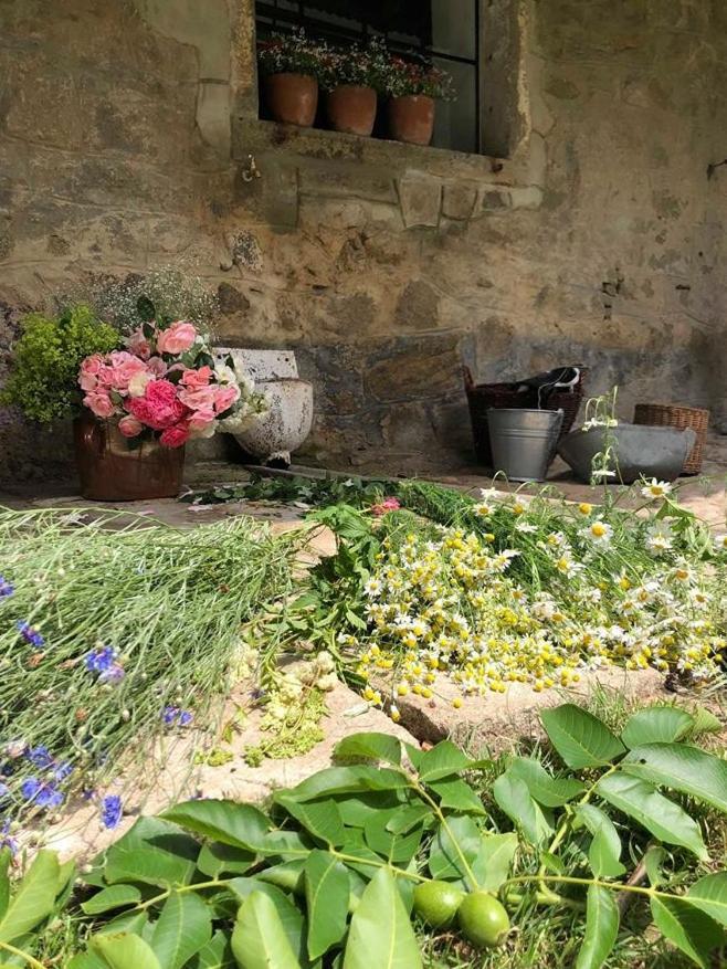 Ubytovani Napoli Stara Cervena Voda Exterior foto